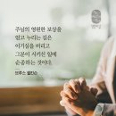 영원한기쁨