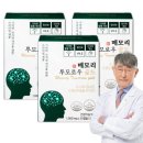 기억력 향상, 메모리투모로우 골드 후기!