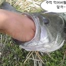 용전1로 이미지