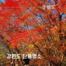 중부-현장-중부-1085 | 2023 단풍시기와 강원도 가을 단풍명소 추천* 설악산 케이블카와 대관령 하늘목장