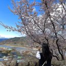 화개장터식당횟집 이미지