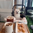 서울도봉초등학교 | 도봉구 도봉 한옥 감성이 느껴지는 카페 | 무수울, 애견동반 가능해요
