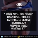 핏불 피트니스 이미지