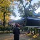 세븐일레븐 고속터미널점 | 엄마랑 후쿠오카 여행 2박3일 DAY 2 : 유후인 료칸, 플로랄빌리지, 긴린코호수