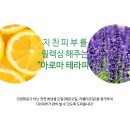 코코듀