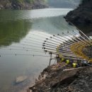 맹동낚시터 이미지