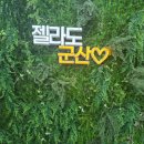 젤라또공대 | 군산 젤라또 쫀득한 신상 디저트 후기