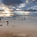 방아머리로 이미지