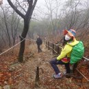 은지초등학교 이미지