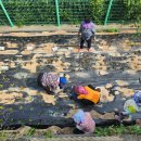 남부민1동 주민센터 이미지