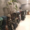 서울숲골프존 이미지