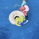 잔디당구장 | 강화도 저바다펜션 애견동반펜션! 보드게임, 노래방, 당구장 무료이용가능 내돈내산 후기
