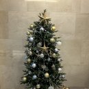 권외과의원 | 강릉성형외과 찾다가 강남까지 온 이유 - 실리프팅에서 거상술까지 중년 리프팅 선택 기준