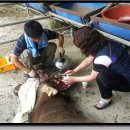 월산목장 이미지