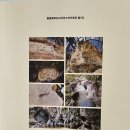 젊은땅 포항지형산책 이미지