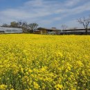 하대1리 이미지