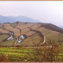 바우길 17구간 이미지