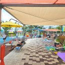 울림공원(물놀이장) 이미지