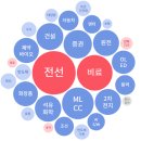 금양주유소