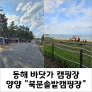 북분대로 | 아이랑 7월, 강원도 양양 "북분솔밭캠핑장"