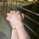 양지면고기집 양지회관 방문후기:)