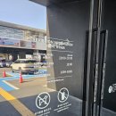 아르떼뮤지엄부산 | [내돈내산] 아르떼뮤지엄 부산 방문 후기