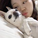 잘자