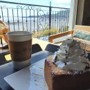 로뎀트리 이미지