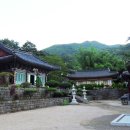 대원사 Daum카페