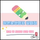 맑은해유치원 | 안산 월피동 안경집 맑은눈안경원 월피점 후기
