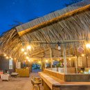 야자수 펜션 민박 이미지