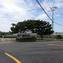 금성리 노인회관 이미지