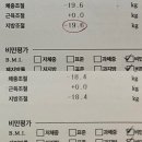 일산바이오포톤 집중 다이어트관리 미라클엘르맘 후기