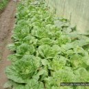 항산농장 이미지