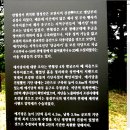 성터 티스토리