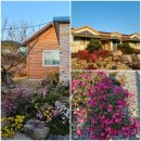 고산돌맹마을 이미지