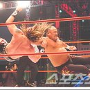 세계로체육관 이미지