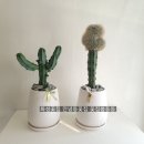 원광2농장 이미지