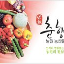 남원종자 이미지