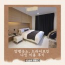 9(호텔나인) | 양평 블룸비스타 교육 출장 전날,드라이브인 나인 숙소 이용 후기