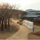 삼화축사 이미지