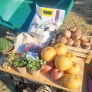 현호농장 이미지