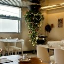 트리메이트 이미지