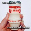 야쿠르트 네이버블로그