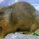 동방주유소 이미지