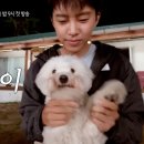 영웅
