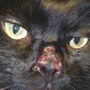 동래종합동물병원 이미지