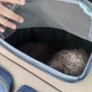 하탑중학교 옆 이미지