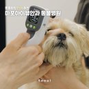 공덕 건강한 동물병원 | 마포동물병원 추천 마포아이뷰안과 동물병원