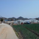 화산면512 이미지